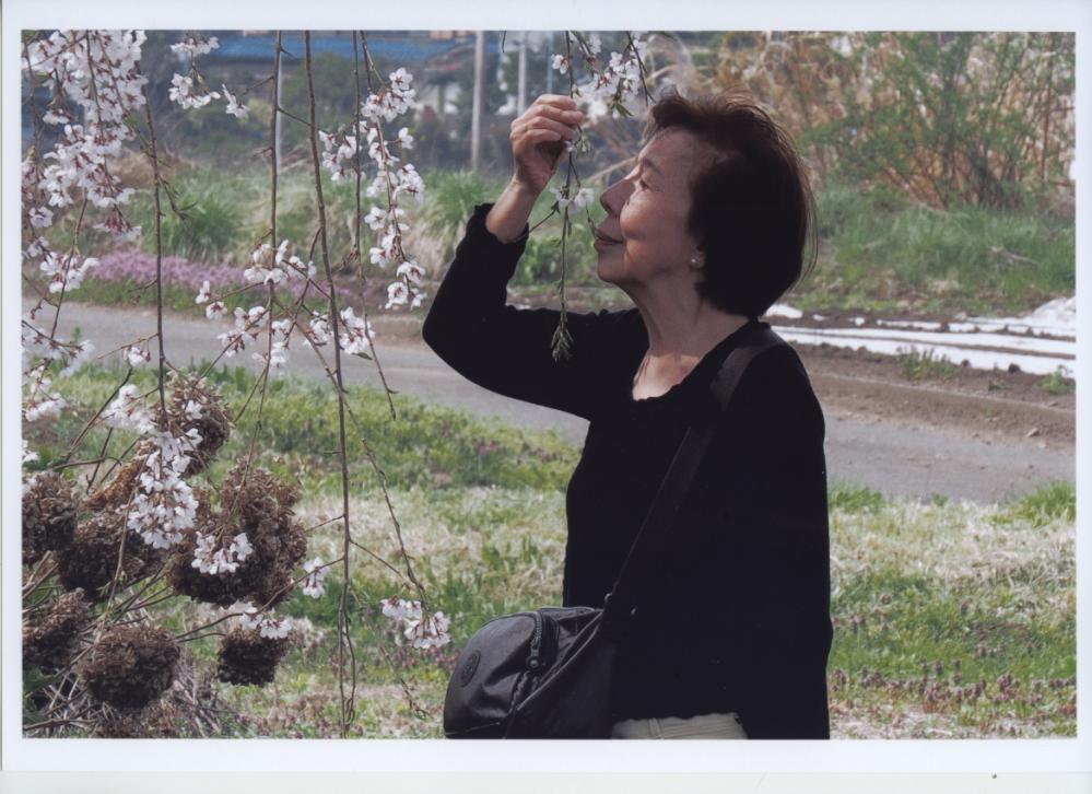 春の香り