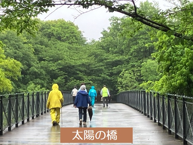 ⑩太陽の橋