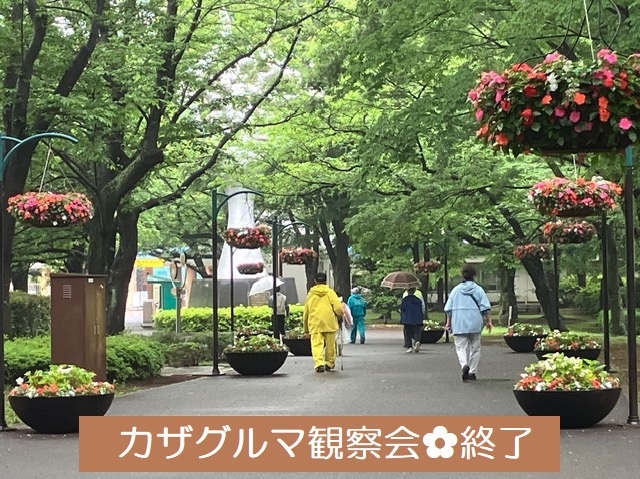 ⑪カザグルマ観察会・終了