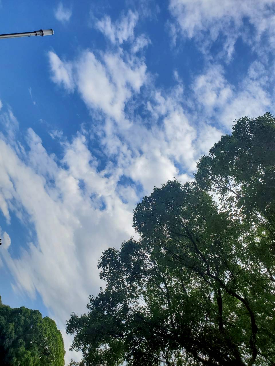 AF8E8809-8CC9-4900-BD10-9A40C69EF50D