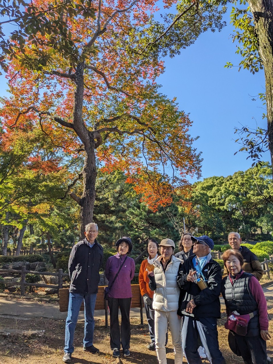 LINE_ALBUM_20241119火曜日定例会_250522_6