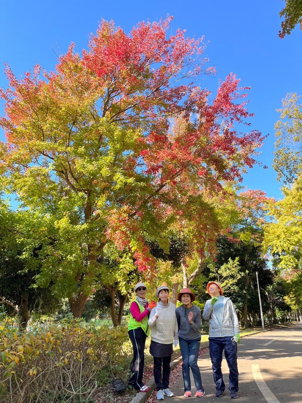 LINE_ALBUM_20241119火曜日定例会_250522_1