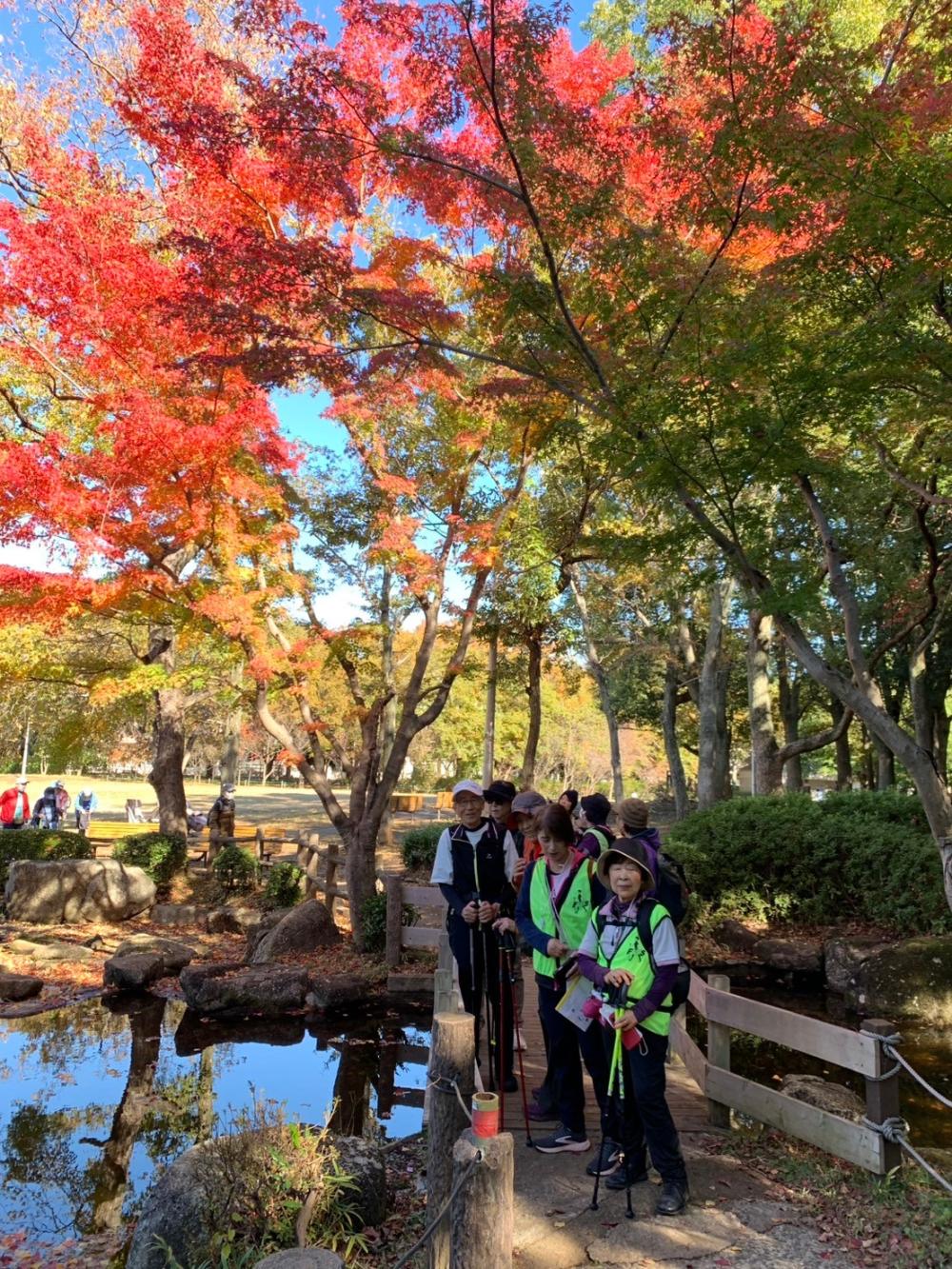 LINE_ALBUM_20241128  木曜定例会_250522_11