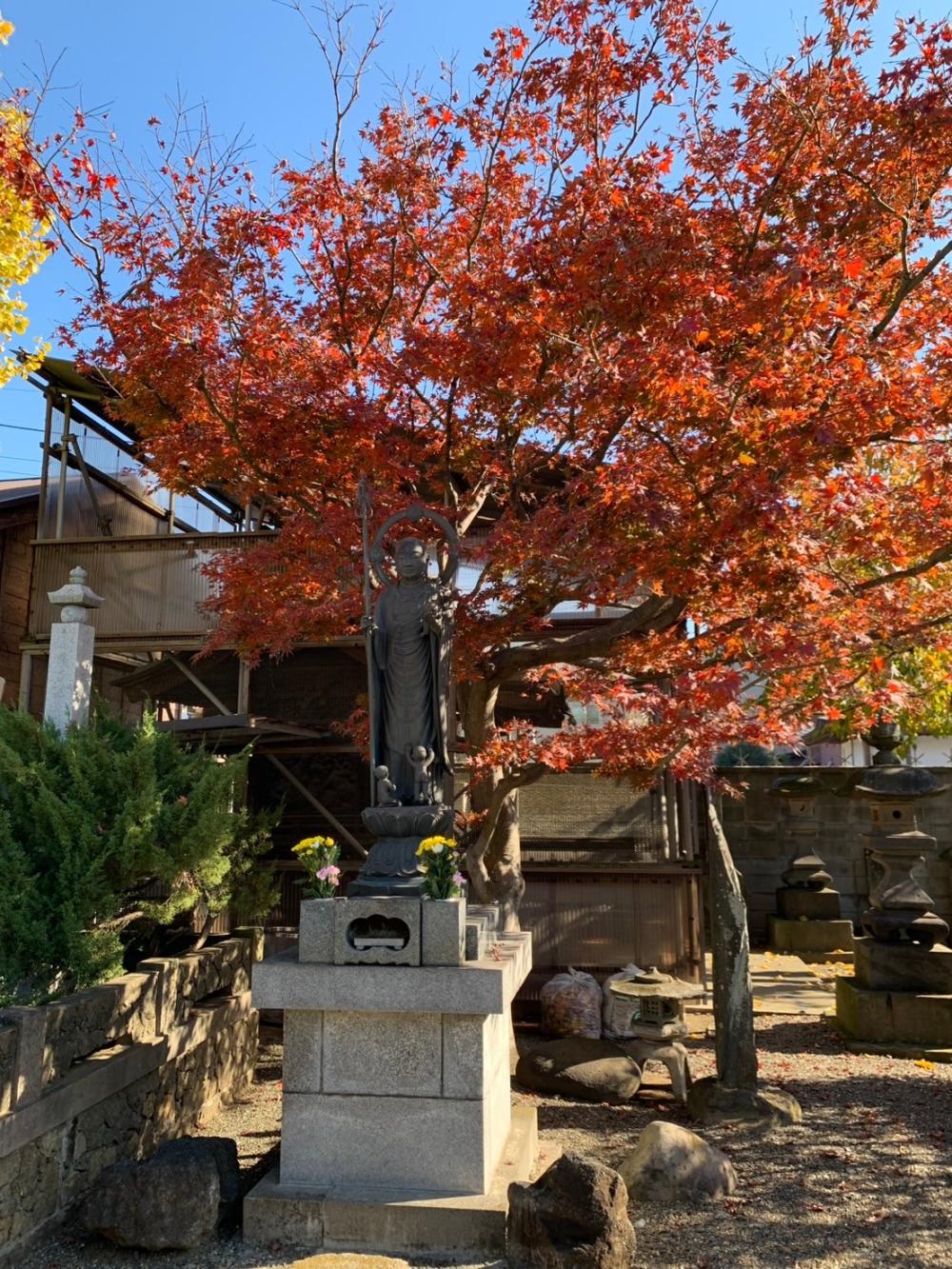 LINE_ALBUM_2024123街歩き_250522_17