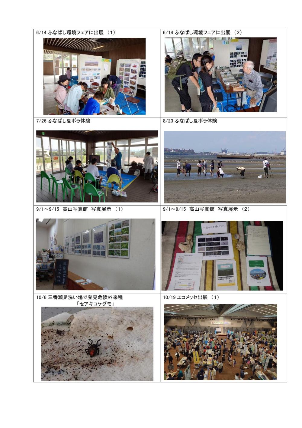 フィールドミュージアム三番瀬の会活動状況報告書令和7年度分提出-4