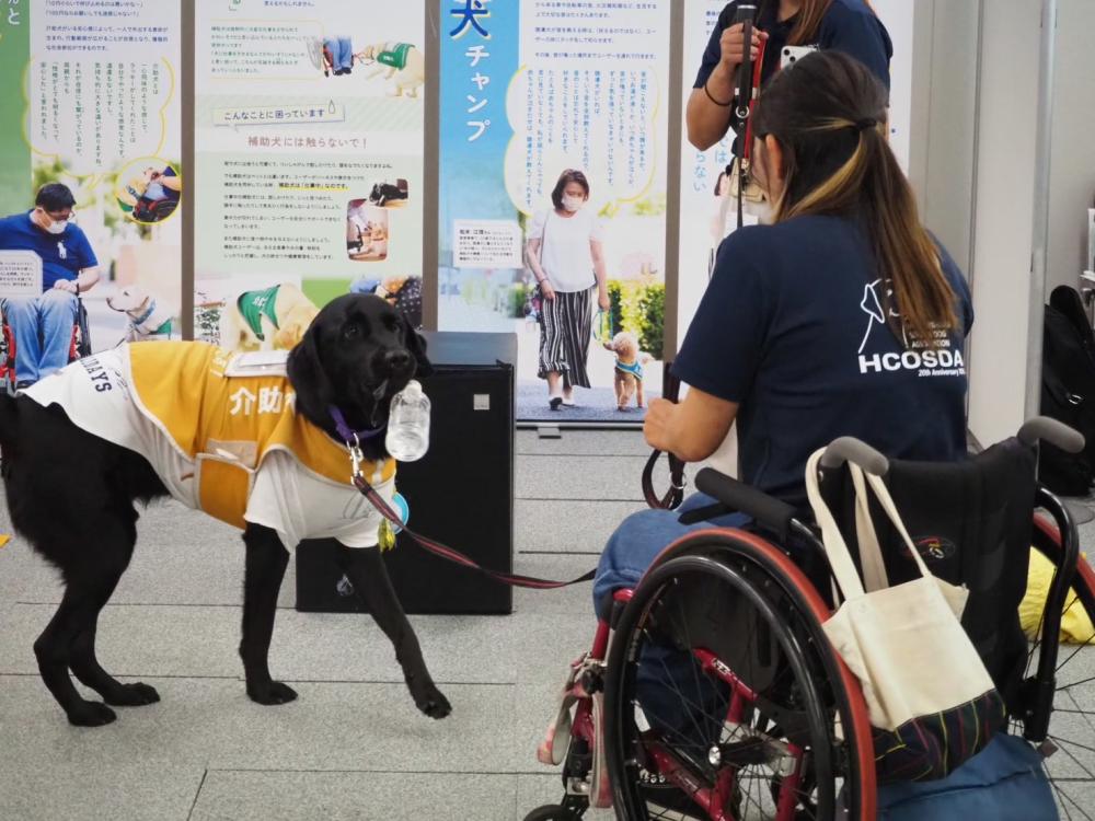 介助犬協会　S__280698882