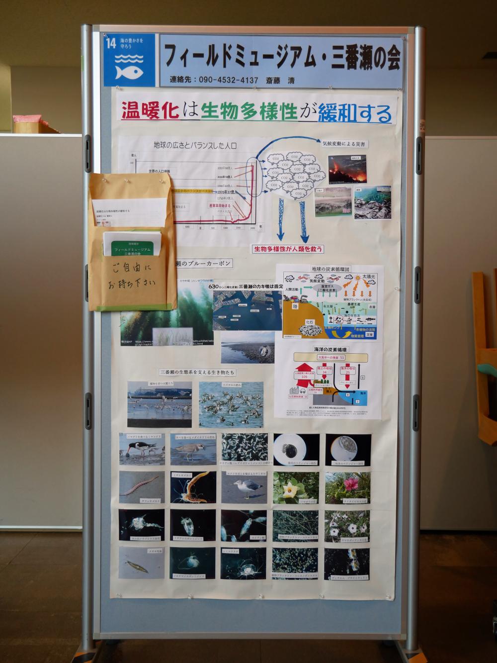 フィールドミュージアム三番瀬