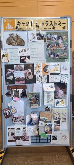 キャットトラストミーパネル写真