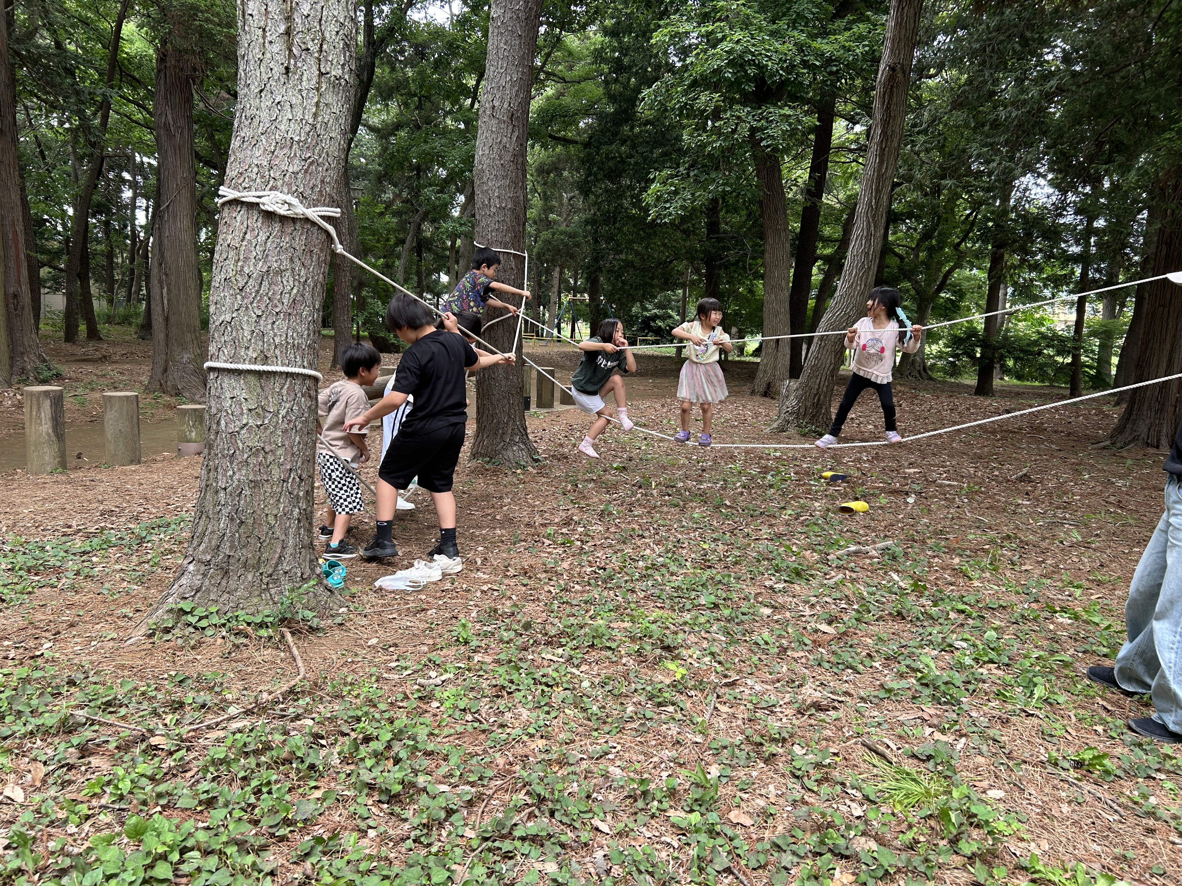 image_123650291 (31).jpg