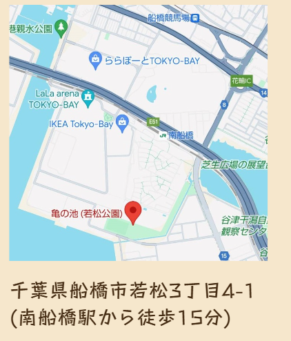 若松公園（芝生広場）への地図